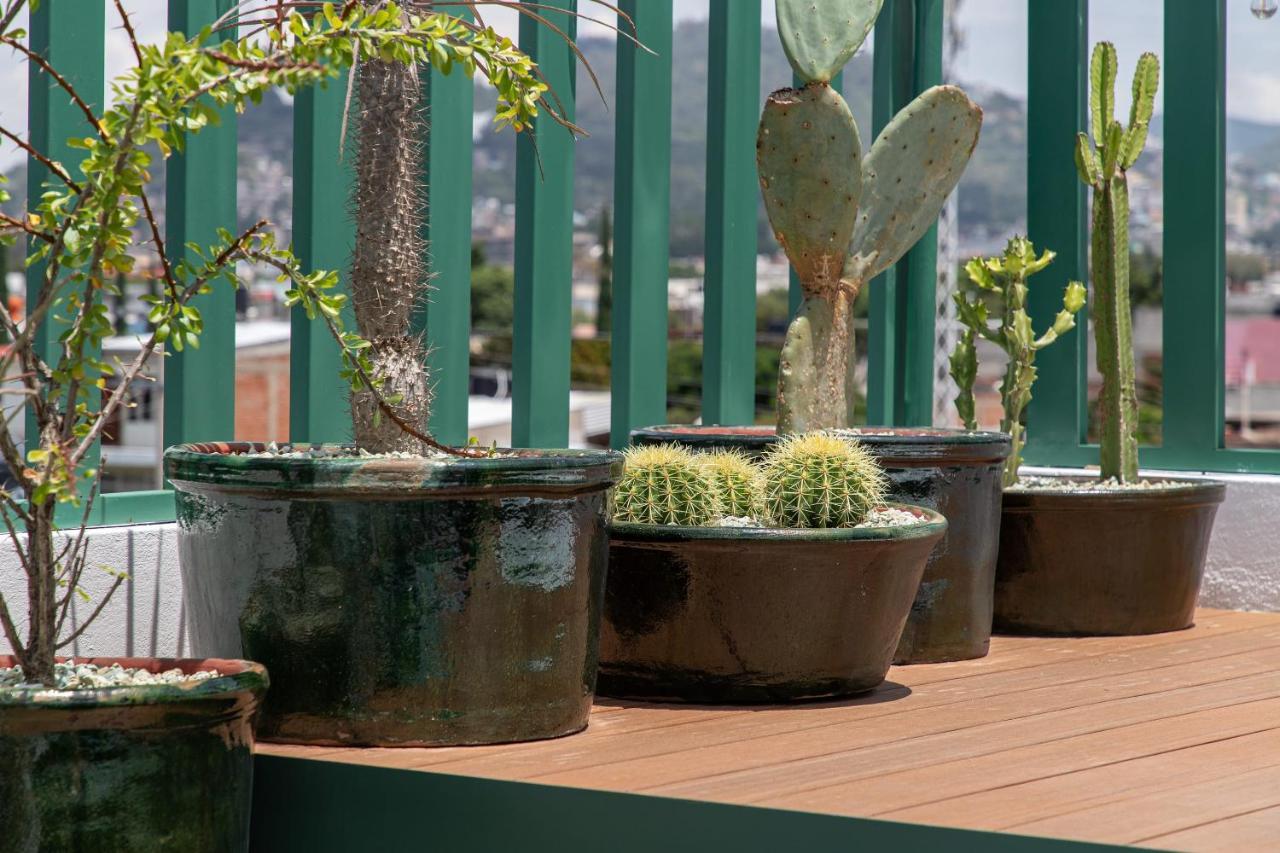 HOLT - Villa Noria - La Casa del Barro Verde Oaxaca Esterno foto